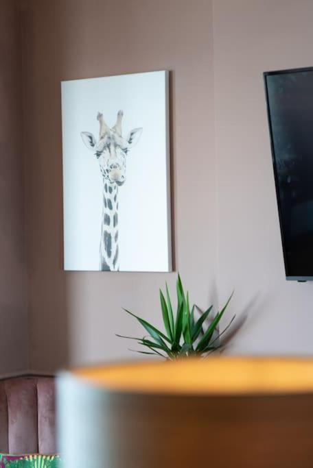 Stylish Beachfront Apartment, Sweeping Ocean Views And Luxury Touches Herne Bay Eksteriør billede