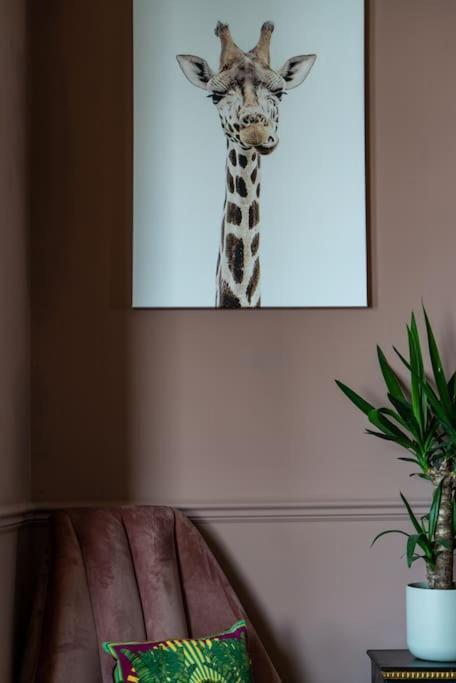 Stylish Beachfront Apartment, Sweeping Ocean Views And Luxury Touches Herne Bay Eksteriør billede