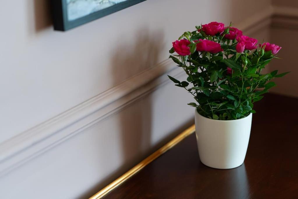 Stylish Beachfront Apartment, Sweeping Ocean Views And Luxury Touches Herne Bay Eksteriør billede